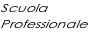 Scuola
Professionale